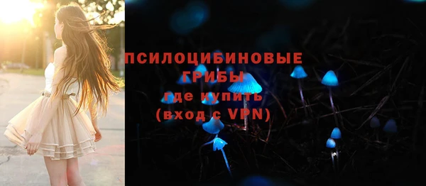 соль курить ск Инсар