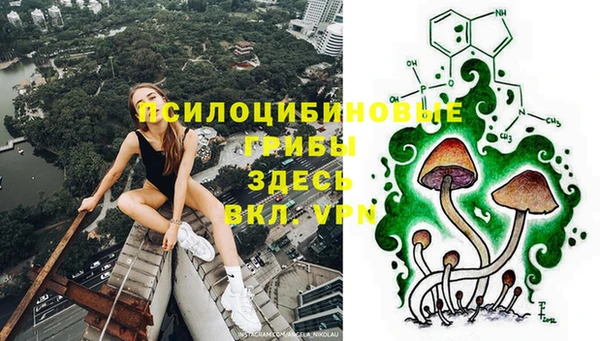 соль курить ск Инсар