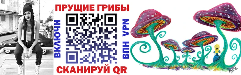 Псилоцибиновые грибы мицелий  Купить  Усть-Лабинск 